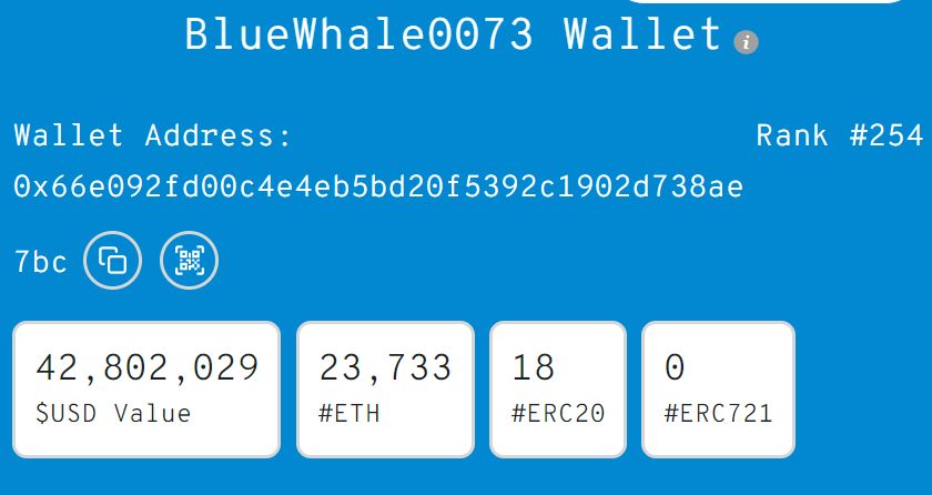 Информация о BlueWhale0073 (Источник: WhaleStats)