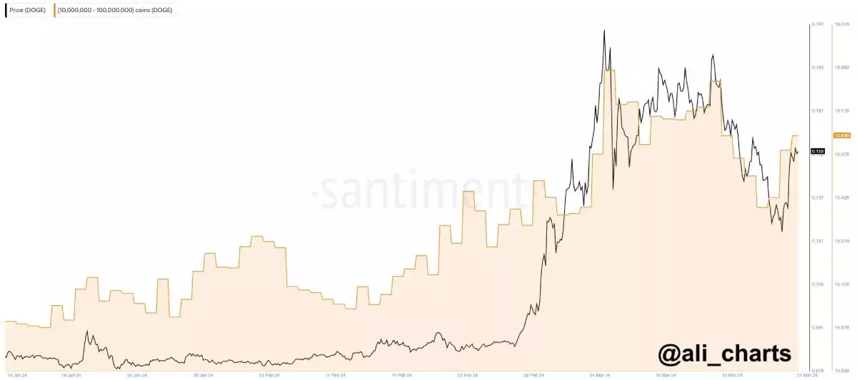 Dogecoin