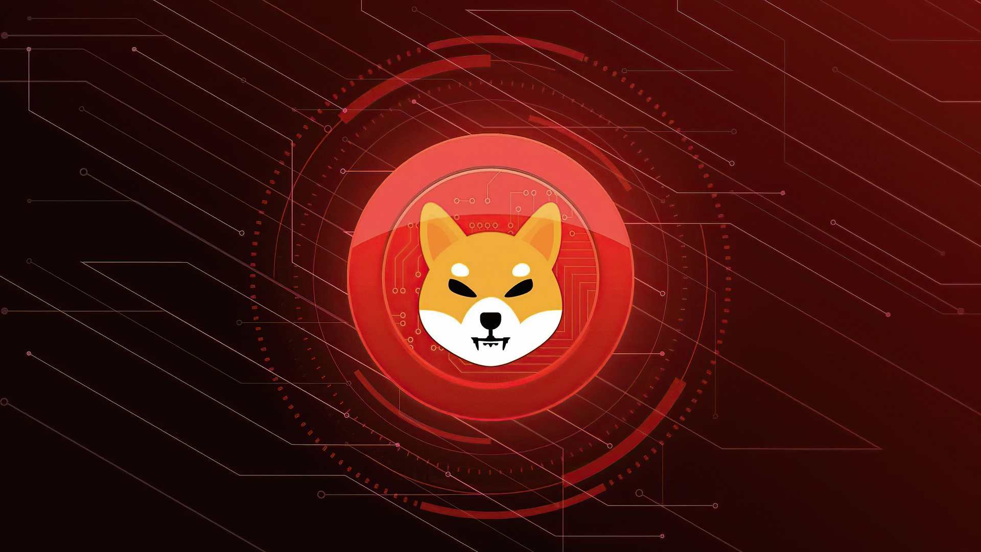 криптовалюта-shiba-inu-coin