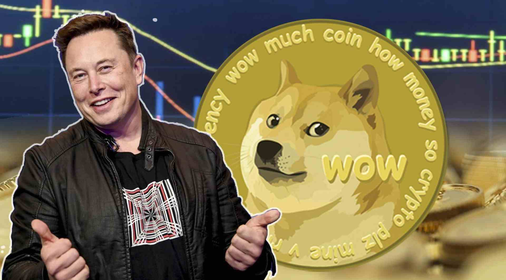 Илон Маск криптовалюта Dogecoin DOGE