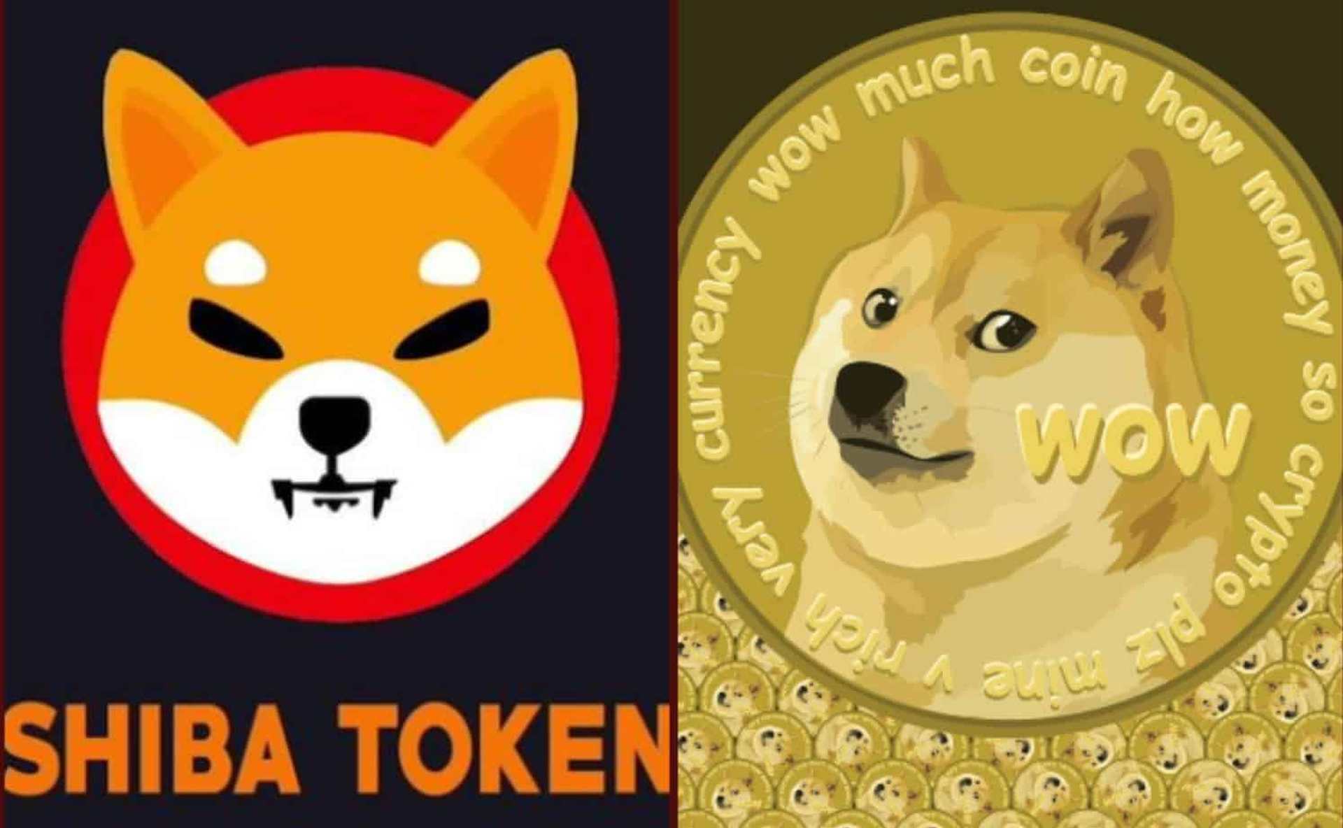 Криптовалюта Shiba-Inu-vs-Dogecoin