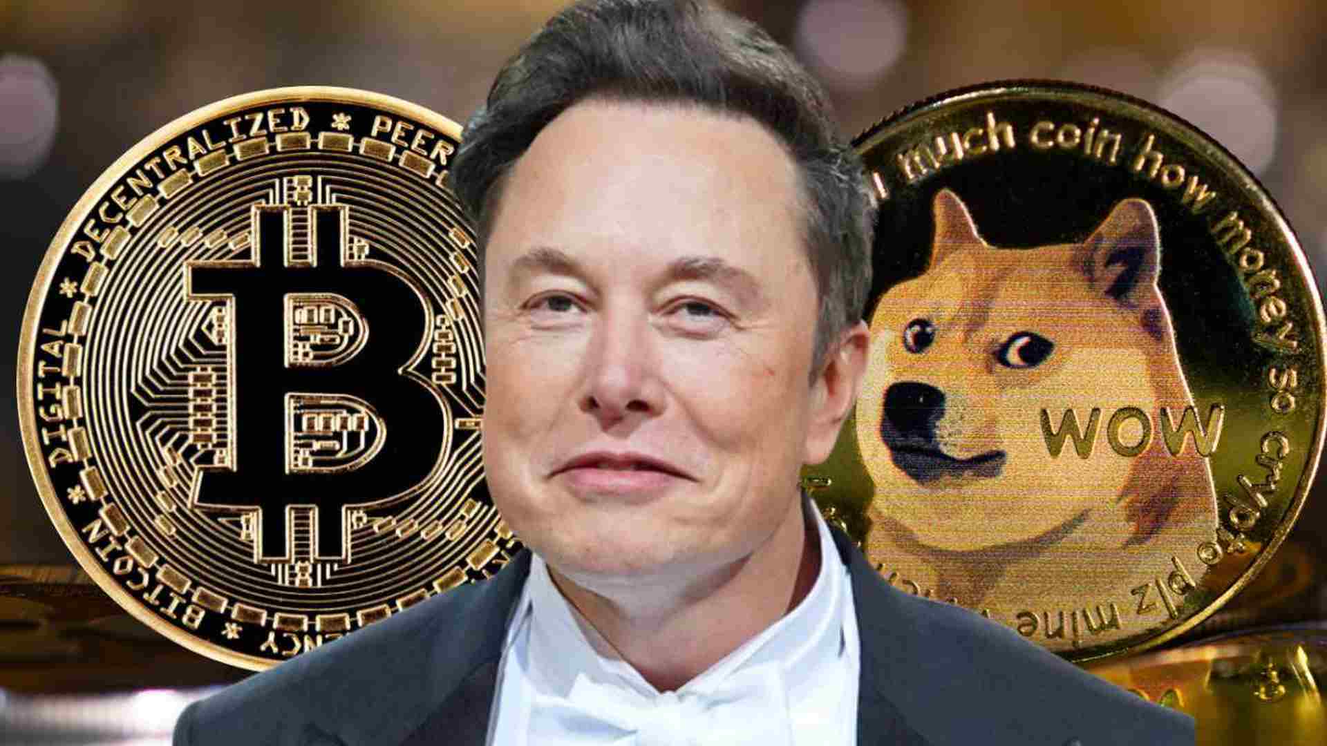 bitcoin-dogecoin