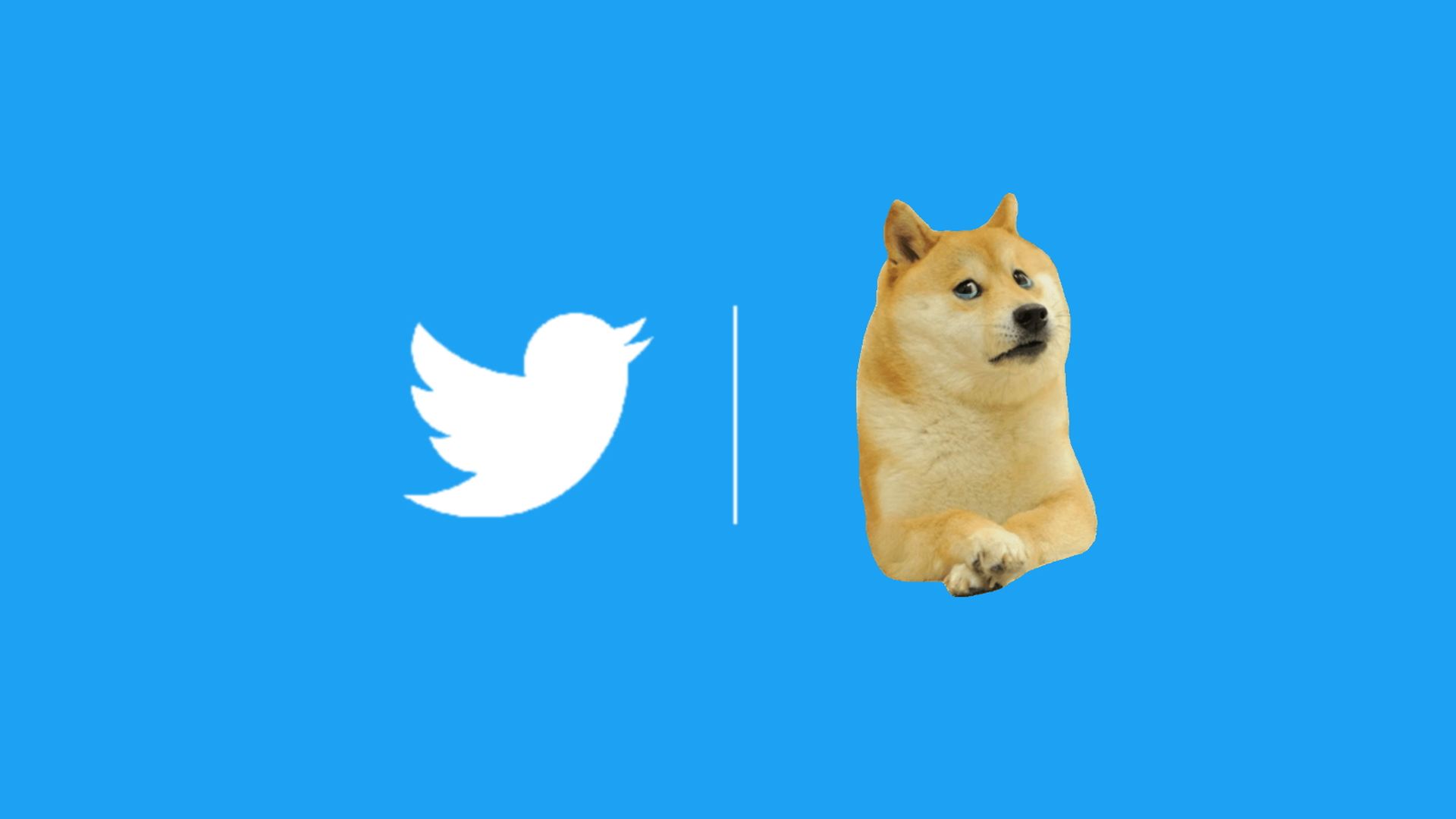 Twitter криптовалюта DOGE Dogecoin