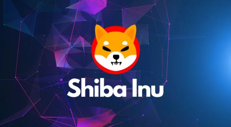 shiba inu