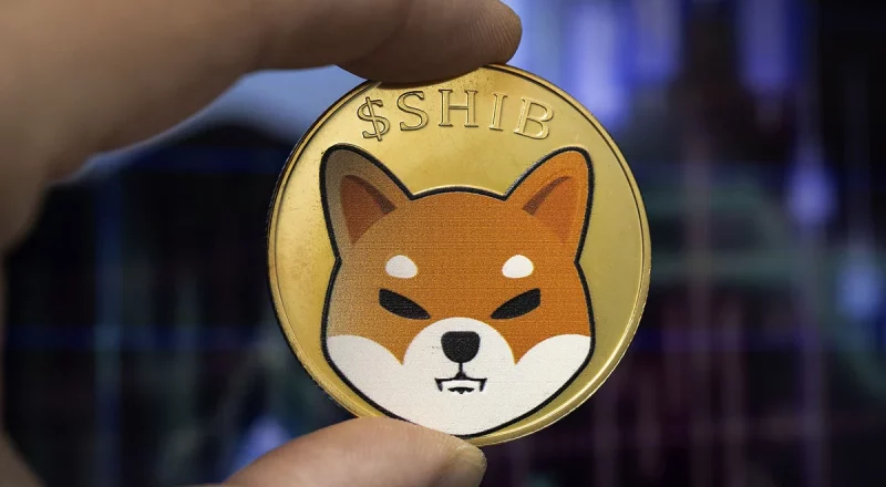 shiba inu coin