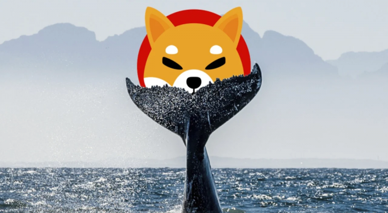 shiba inu whale