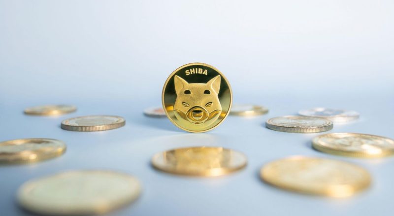 shiba inu coin