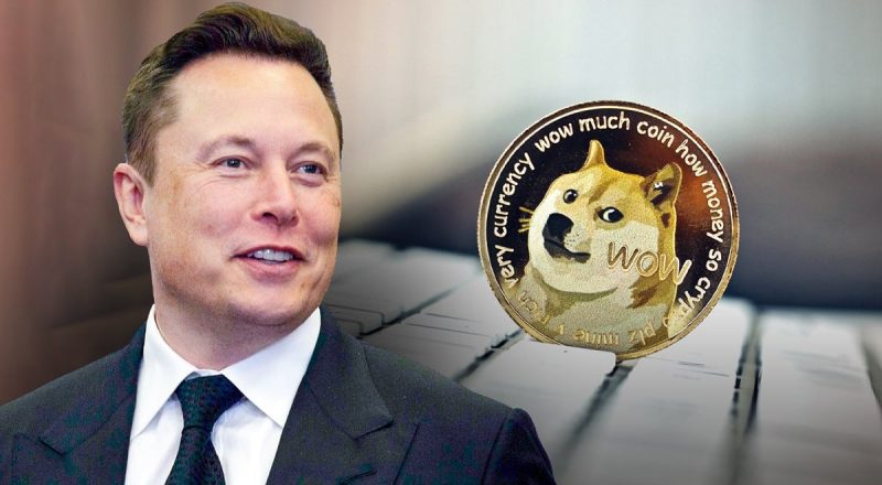 elon musk dogecoin