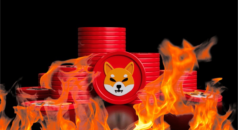 shib fire