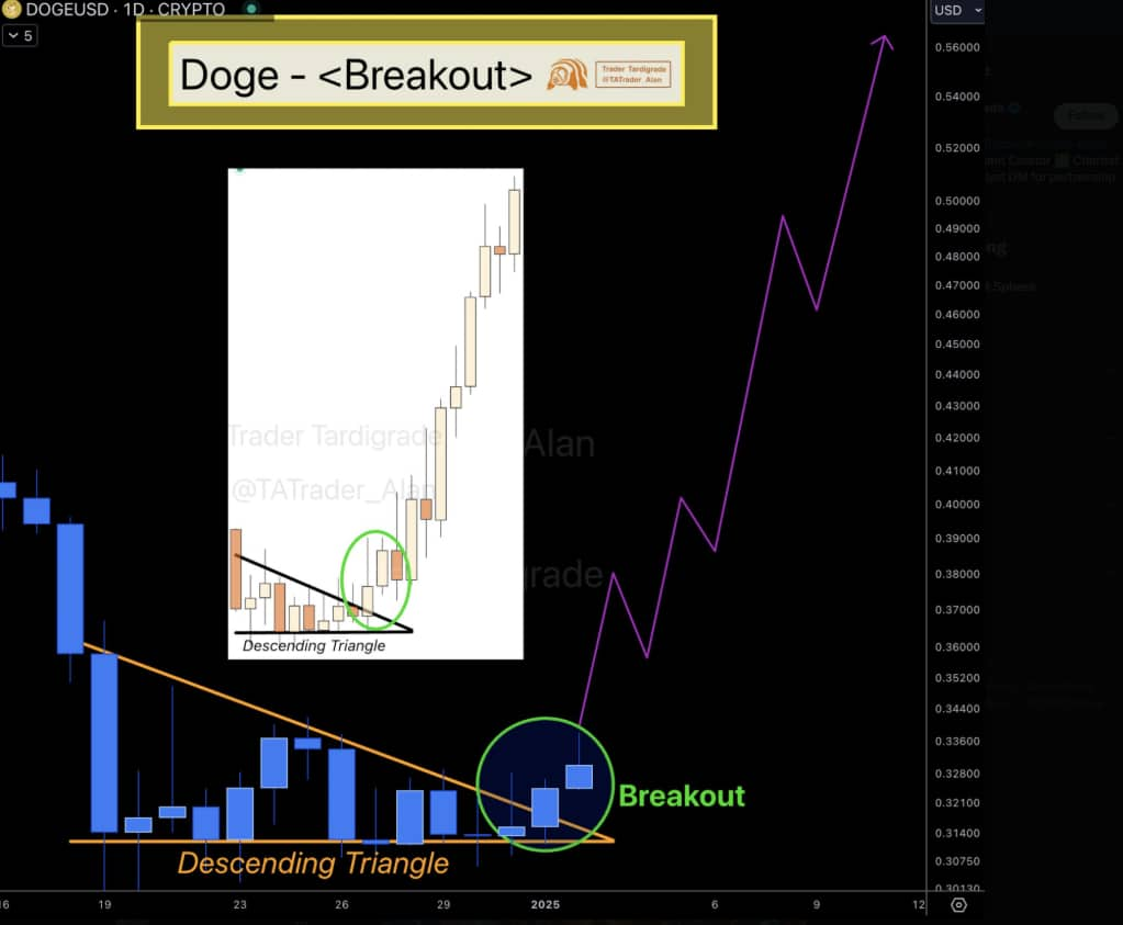 Диаграмма для анализа цены DOGE. Источник: Trader Tardigrade