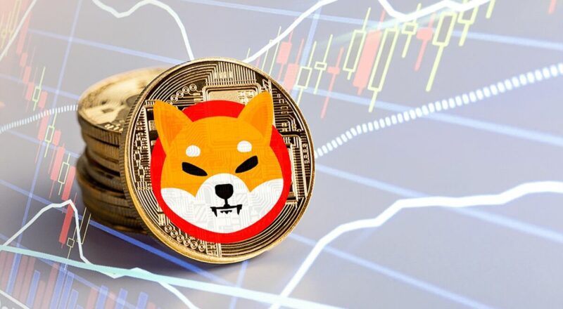 shiba inu coin