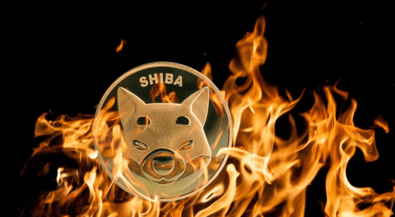 shib fire
